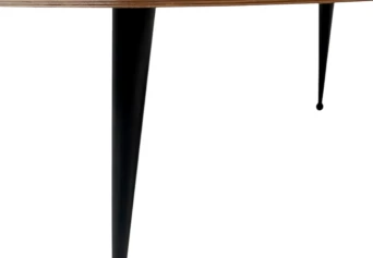 Mid-Century Modern TB16 Coffee Table by Cees Braakman for Pastoe, 1953